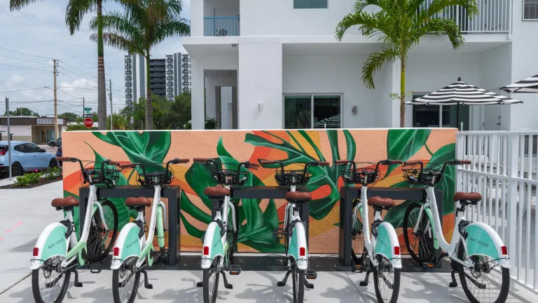 bike share bicycles parked in front of a small tropical mural