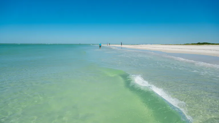 beach