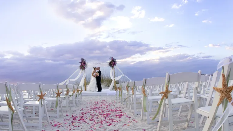 a couple embraces after being married on the beach at Honeymoon Island at sunset, with white chairs and pink rose petals as decorations