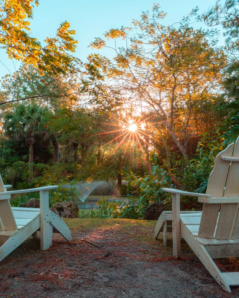 Lounge chairs over look trees, a pond and a fountain at Florida Botanical Gardens in Largo.