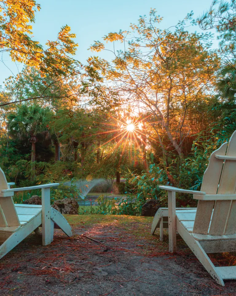 The soft light of sunset filters over two white Adirondack chairs at the Florida Botanical Gardens in Largo