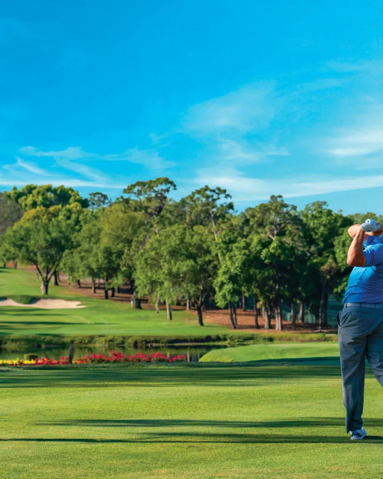 Ein Golfer schlägt im Innisbrook Resort in Palm Harbor ab