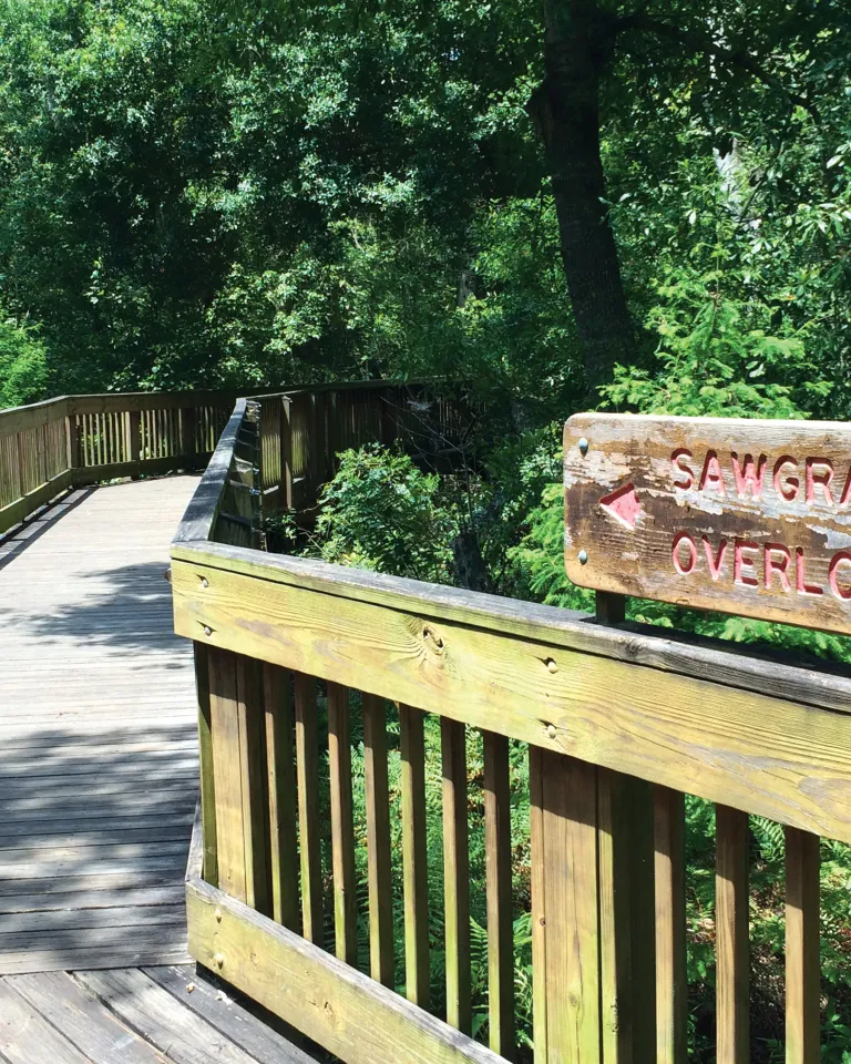 Sawgrass Lake Park boardwalk entrance and sign, surrounded by nature