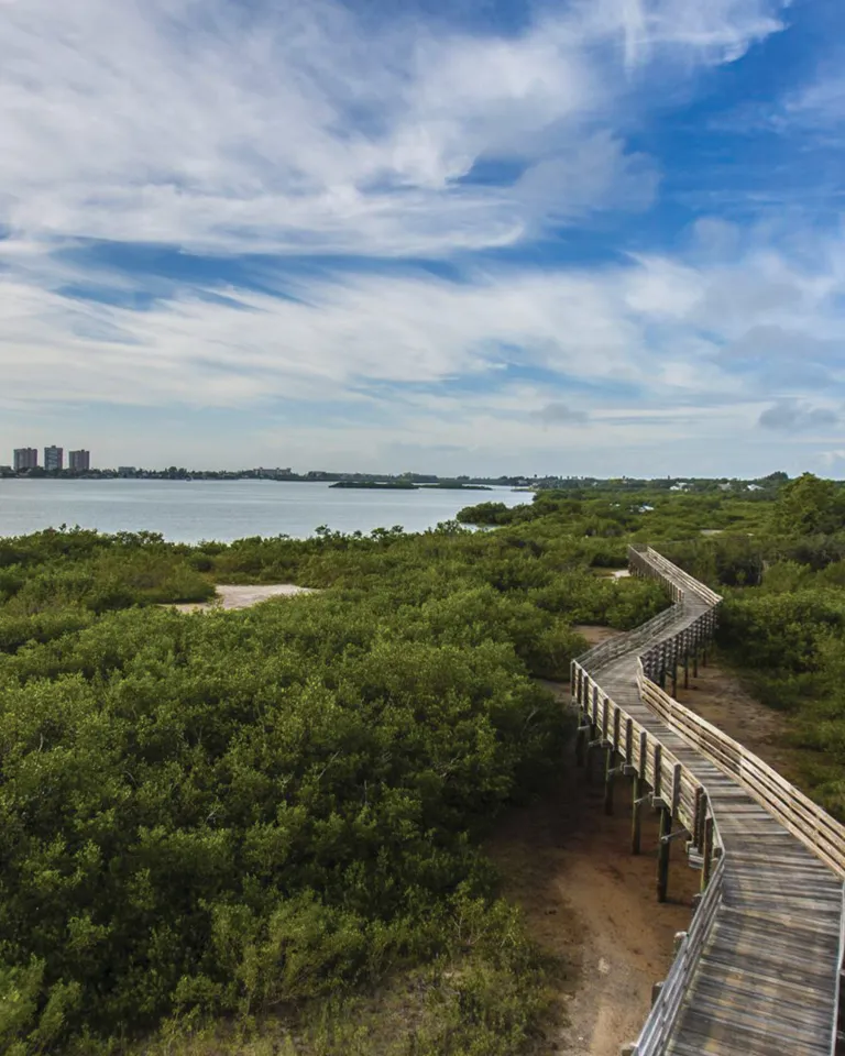 Aerial view of Boca Ciega Park boardwalk in Seminole