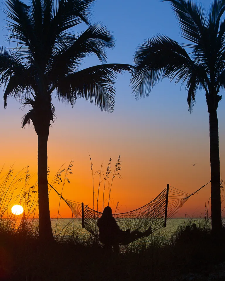 A lady relaxing in a hammock hanged between two palm trees during sunset in Madeira Beach