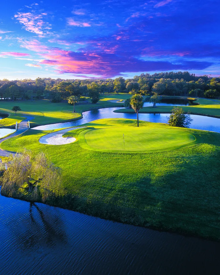 Palm Harbor Innisbrook Golf Aerial