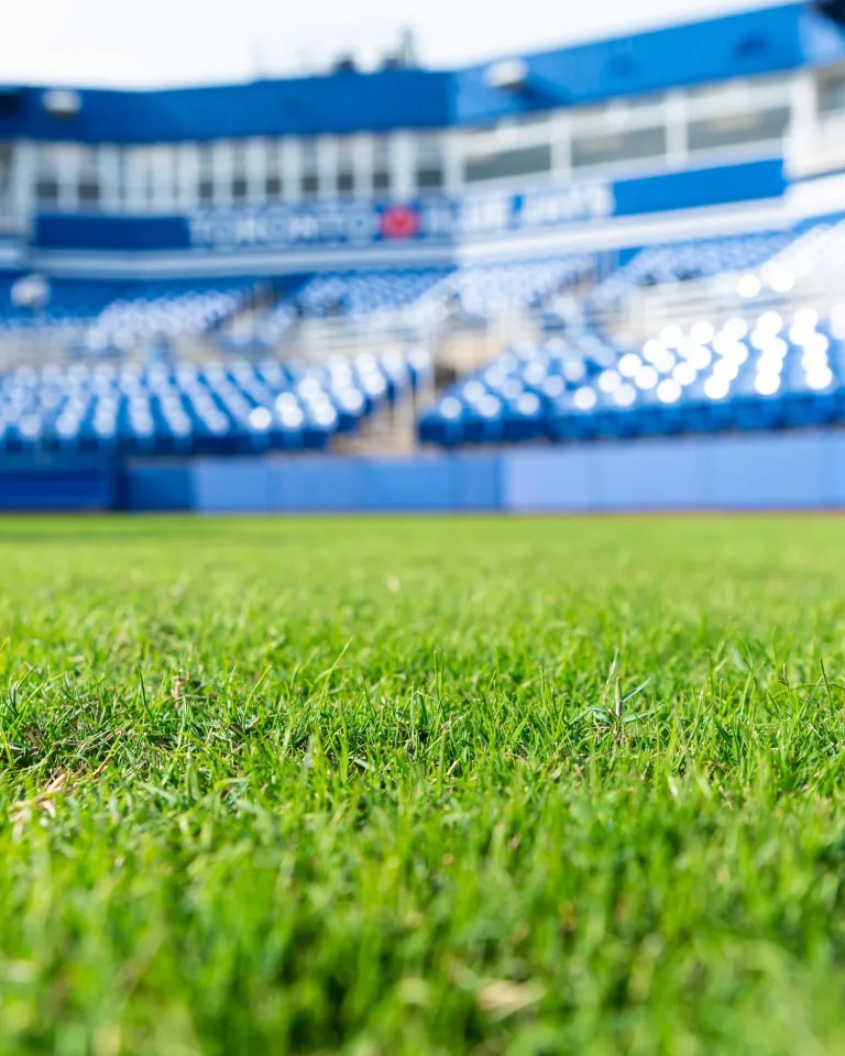 A shot of the stadium inside TD Ballpark in Dunedin