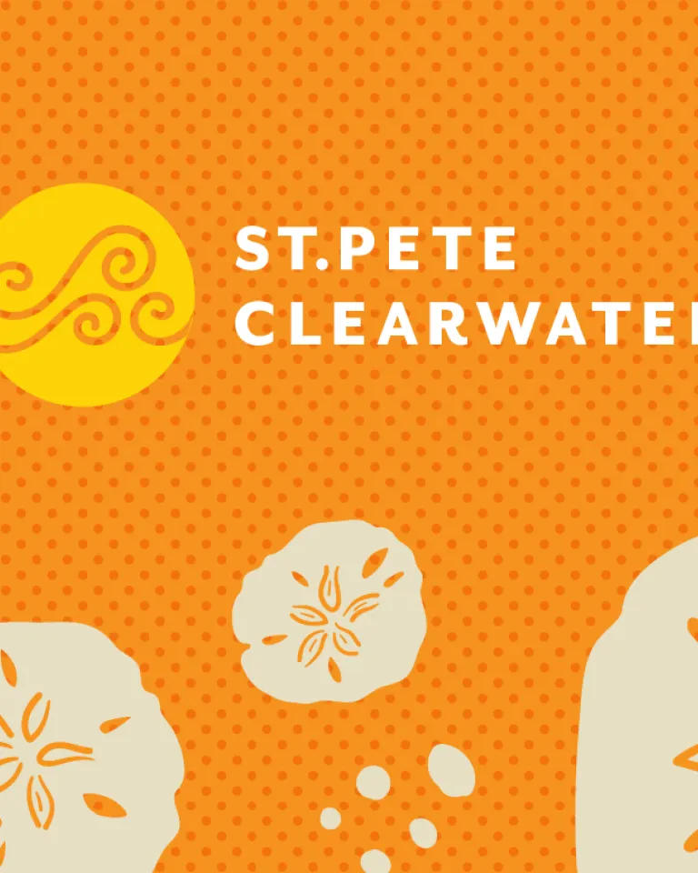 Sand Dollar web Graphic