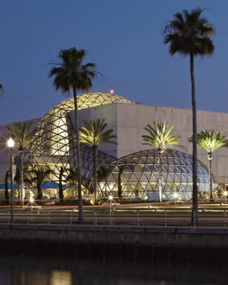 the exterior of the Dali Museum is lit up at night, with Tampa Bay and tall palm trees in the forefront