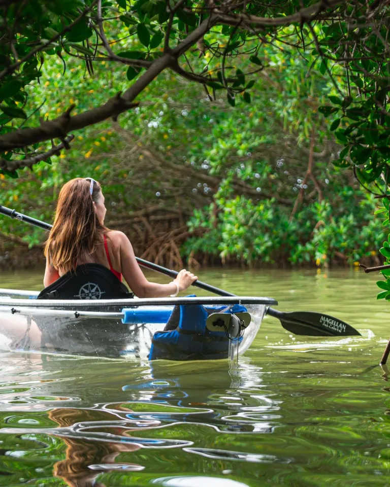 a woman with long hair paddling a clear kayak through mangroves