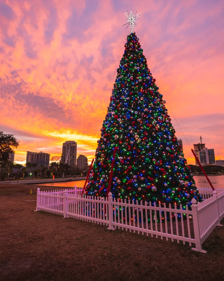 christmas tree