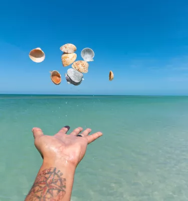 Um homem jogando conchas no ar nas belas águas azul-esverdeadas da Shell Key Preserve, acessível apenas por barco