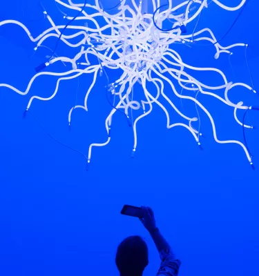 Ein Besucher fotografiert eine von Chihulys Glasskulpturen – diese ist weiß, ungewöhnlich für Chihuly.