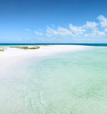 A beach on Anclote Key with the Gulf of Mexico in the background.