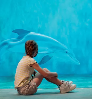 A girl watching Winter the dolphin at Clearwater Marine Aquarium.