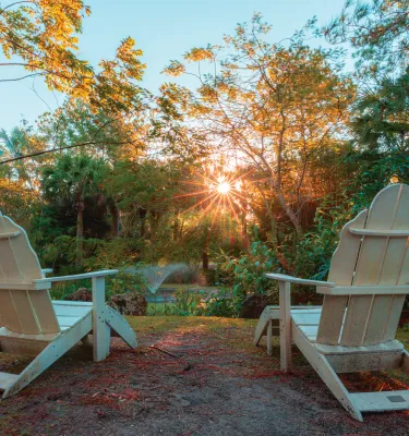 The soft light of sunset filters over two white Adirondack chairs at the Florida Botanical Gardens in Largo