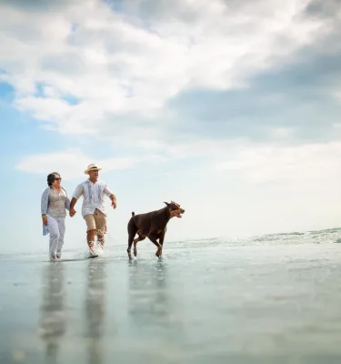 An couple in their 50s walk along the Fort De Soto shoreline with their dog