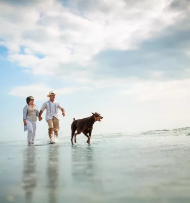 An couple in their 50s walk along the Fort De Soto shoreline with their dog