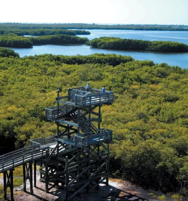 A wide angle shot of the overlook tower at Weedon Island