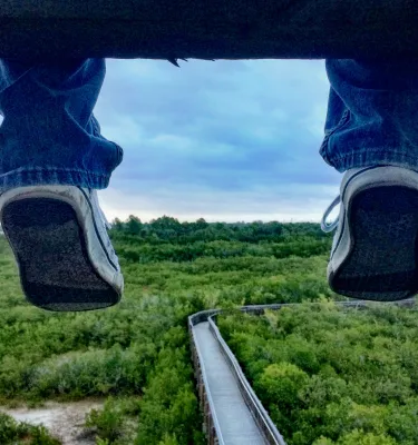 Feet dangle from above as the Weedon Island boardwalk is shown in the background