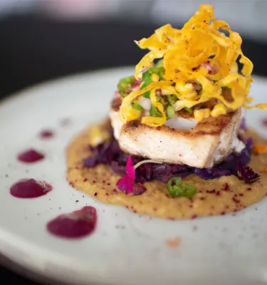 A plate of fish at Savor St. Pete