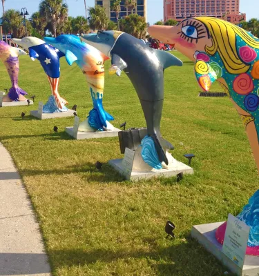 A line up of the dolphin trail