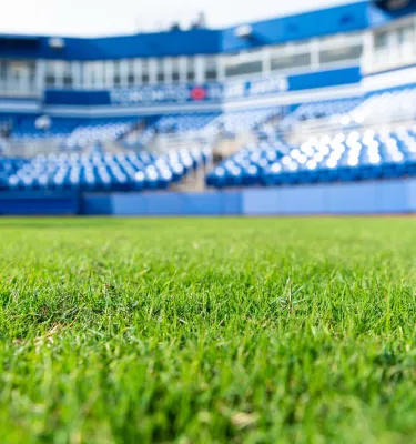 A shot of the stadium inside TD Ballpark in Dunedin
