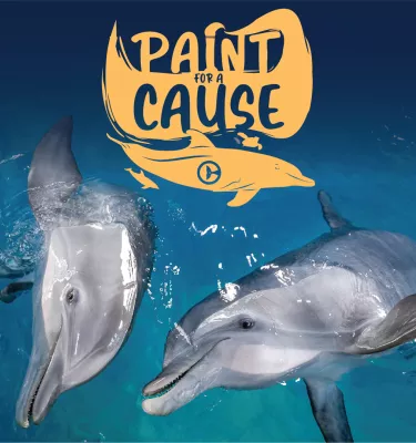 Paint for a Cause