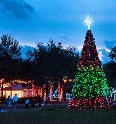 Largo Tree Lighting