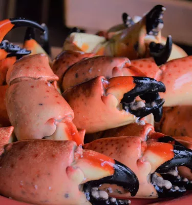 Florida Stone Crab Claws