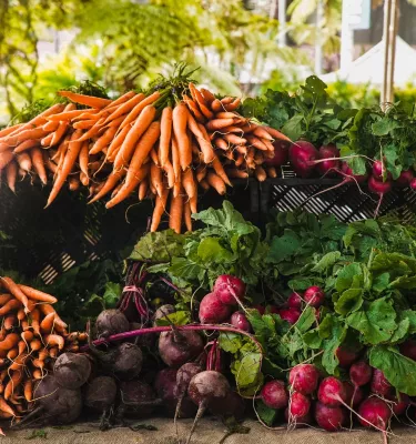 Clearwater Hispanic Farmers Market