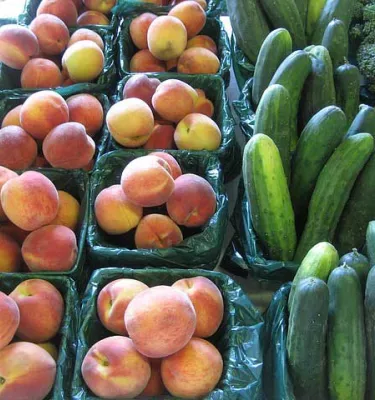 Tarpon Springs 2nd Saturday Market