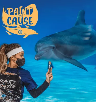 Paint for a Cause