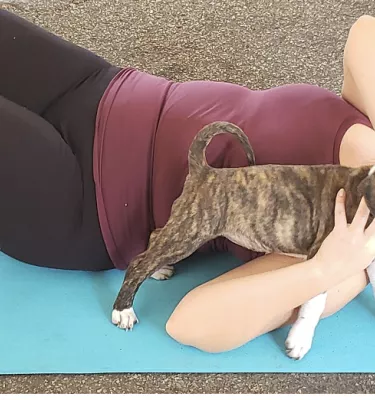 Yoga and Paws