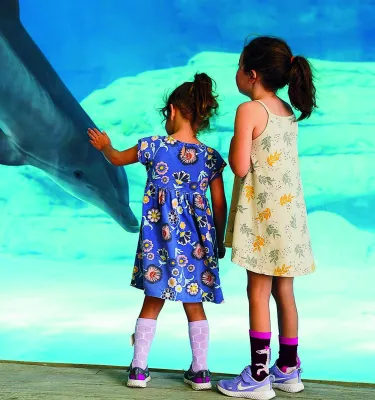 Two little girls in dresses stand at the huge window at the dolphin habitat at Clearwater Marine Aquarium