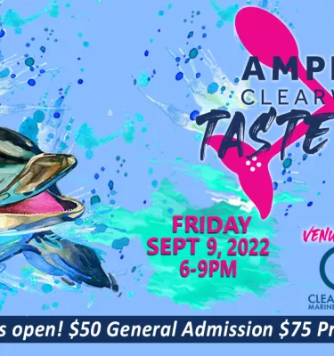 Taste Fest Image Banner