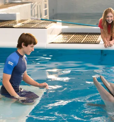 Dolphin Tale 2 Hero Image