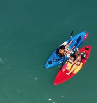 Shark Season Hero Image