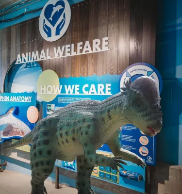Dino Rescue