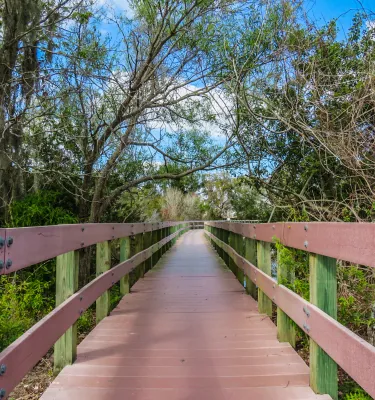 A raised boardwalk with side rails in Central Park Nature Preserve.
