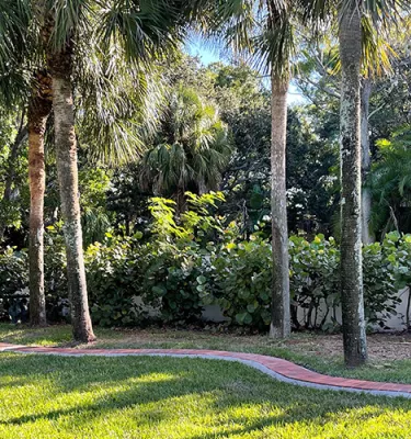 Photo taken outside at Veteran's Park in Gulfport, FL. Featuring green palm trees and grass with red pavers that include American Solider Veteran names.