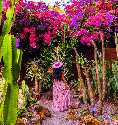 a woman in a pink dress and hat stands in the succulent garden, looking at a wall of brightly colored bougainvillea vines