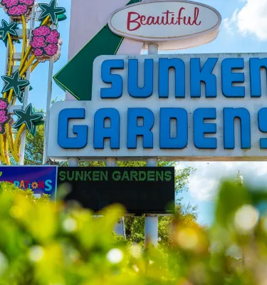 a vintage sign for Sunken Gardens in St. Pete Florida
