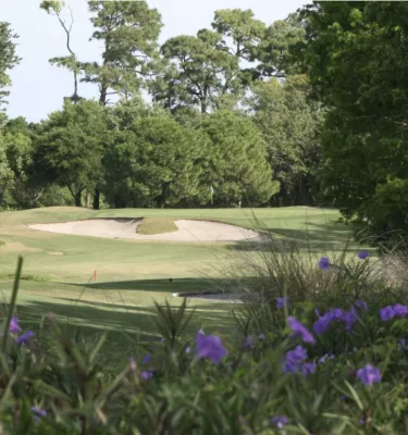 Purple flowers and green trees surrounding an outside golf sand hole at Innisbrook Resort in Palm Harbor, FL.
