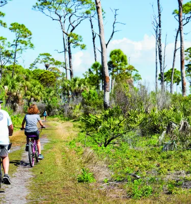 Two bikes head down a dirt path on Honeymoon Island