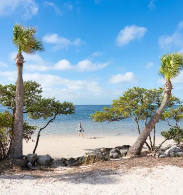 Palmeras y otros árboles y rocas bordean una playa de arena blanca mientras una mujer camina en el agua en Sunset Beach en Treasure Island