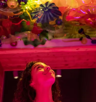 a young person looks up at the fantastical glass ceiling at the Chihuly Collection in St. Pete