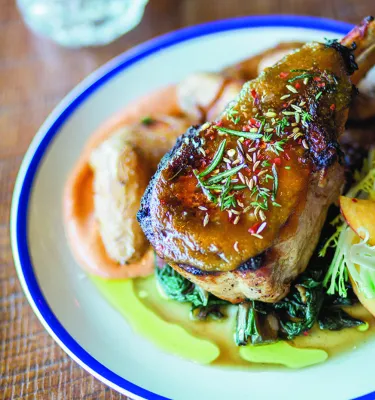 Lamb dish with sauce and veggies on a white dish with blue border