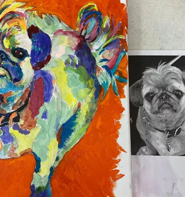 Pet portrait of a small dog.