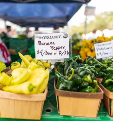 Baskets of organic peppers for sale at the St. Pete Saturday Morning Market